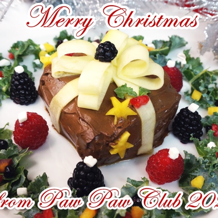 犬ごはん わんこクリスマスケーキ レシピ 作り方 By Pawpawclub 楽天レシピ 犬ごはん わんこクリスマスケーキ レシピ 作り方 By Pawpawclub 楽天レシピ